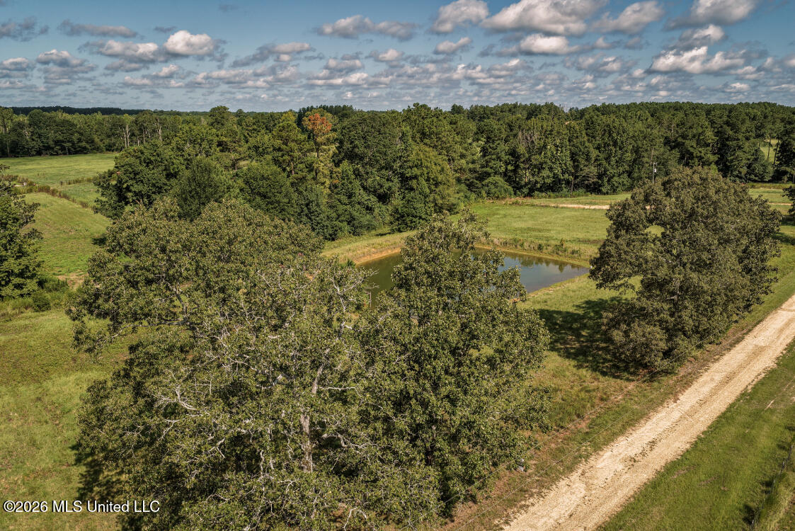 2498 Hilton Lane Property Photo 20