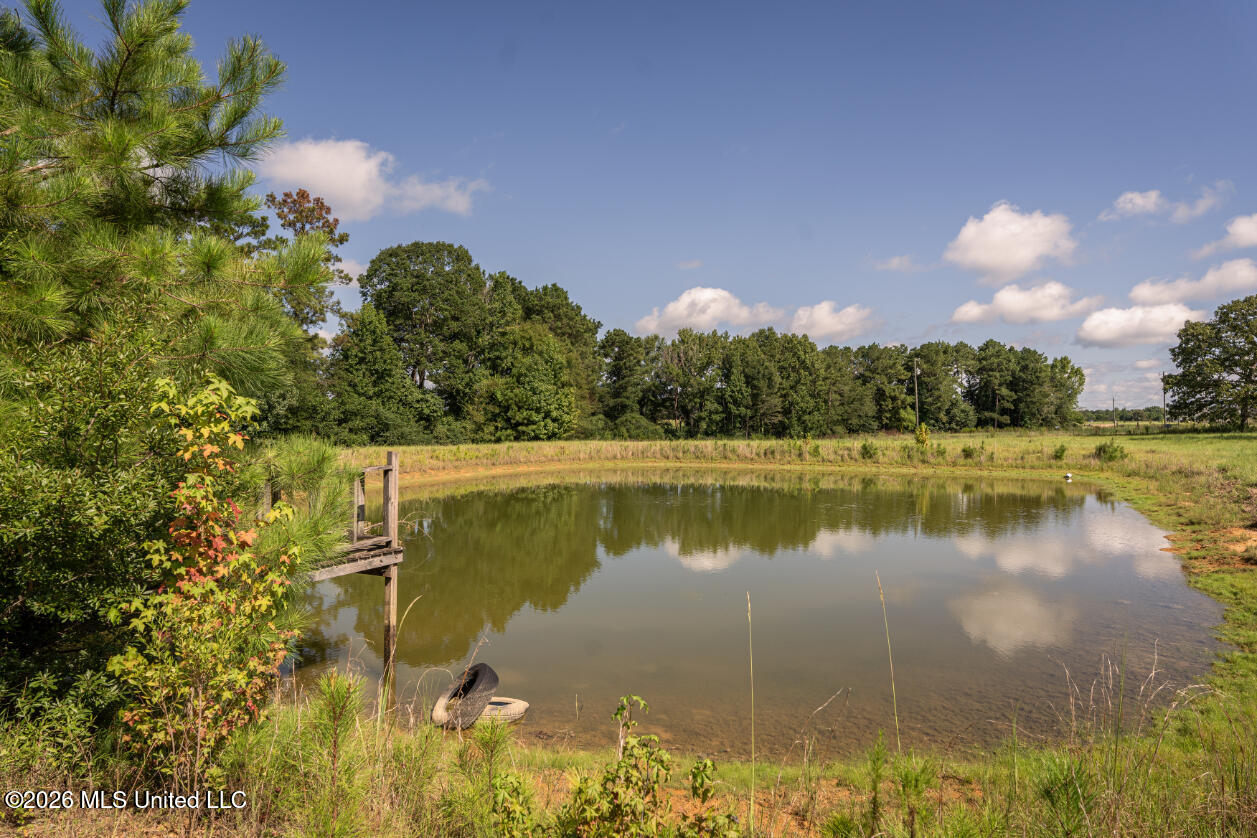 2498 Hilton Lane Property Photo 21