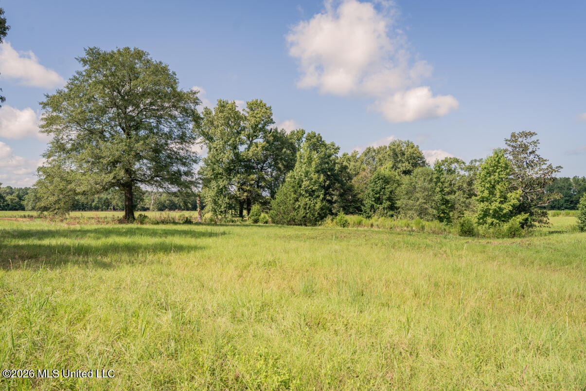 2498 Hilton Lane Property Photo 25