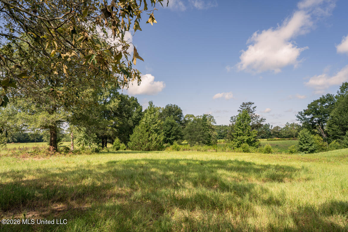 2498 Hilton Lane Property Photo 28