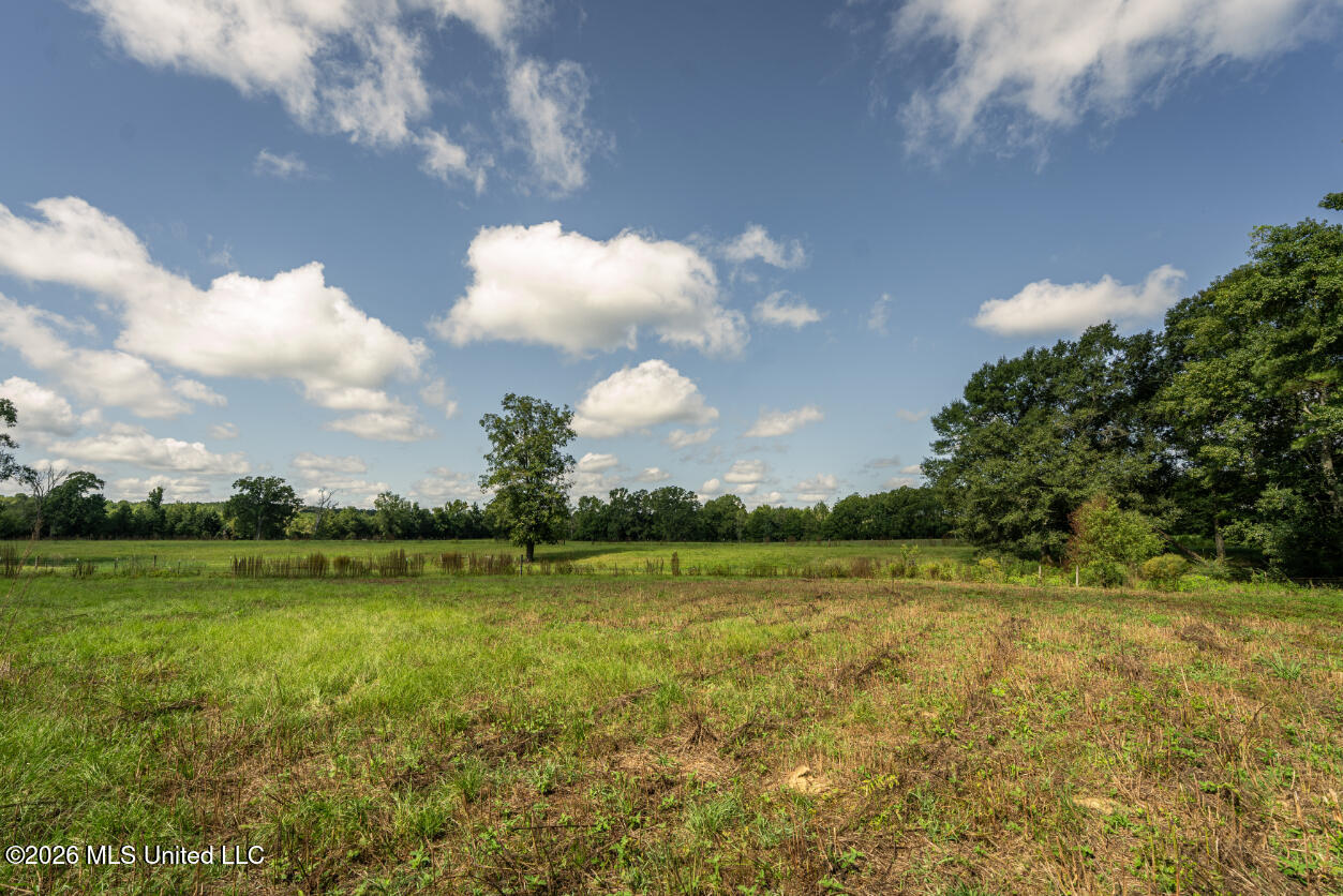 2498 Hilton Lane Property Photo 29