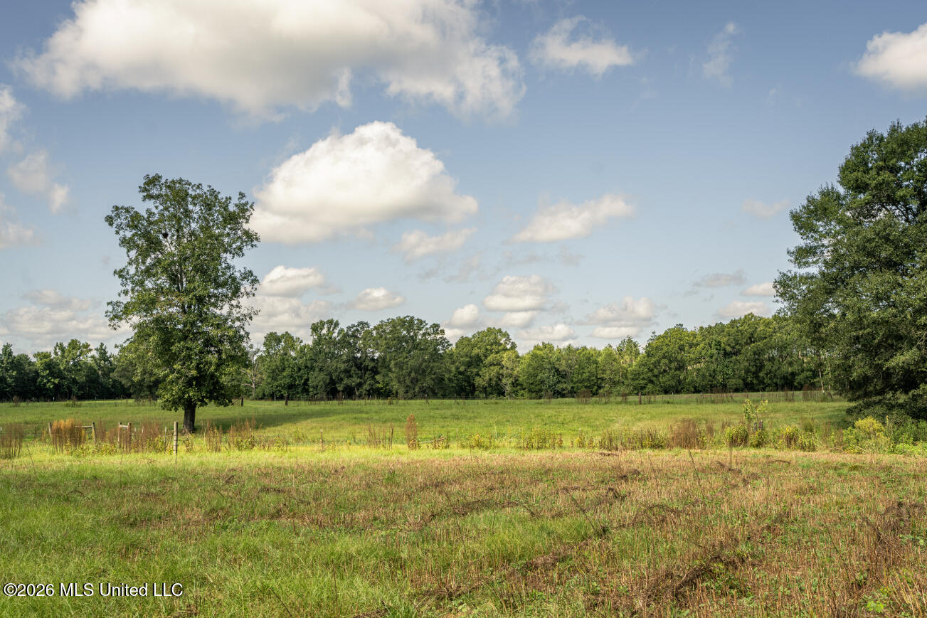 2498 Hilton Lane Property Photo 30