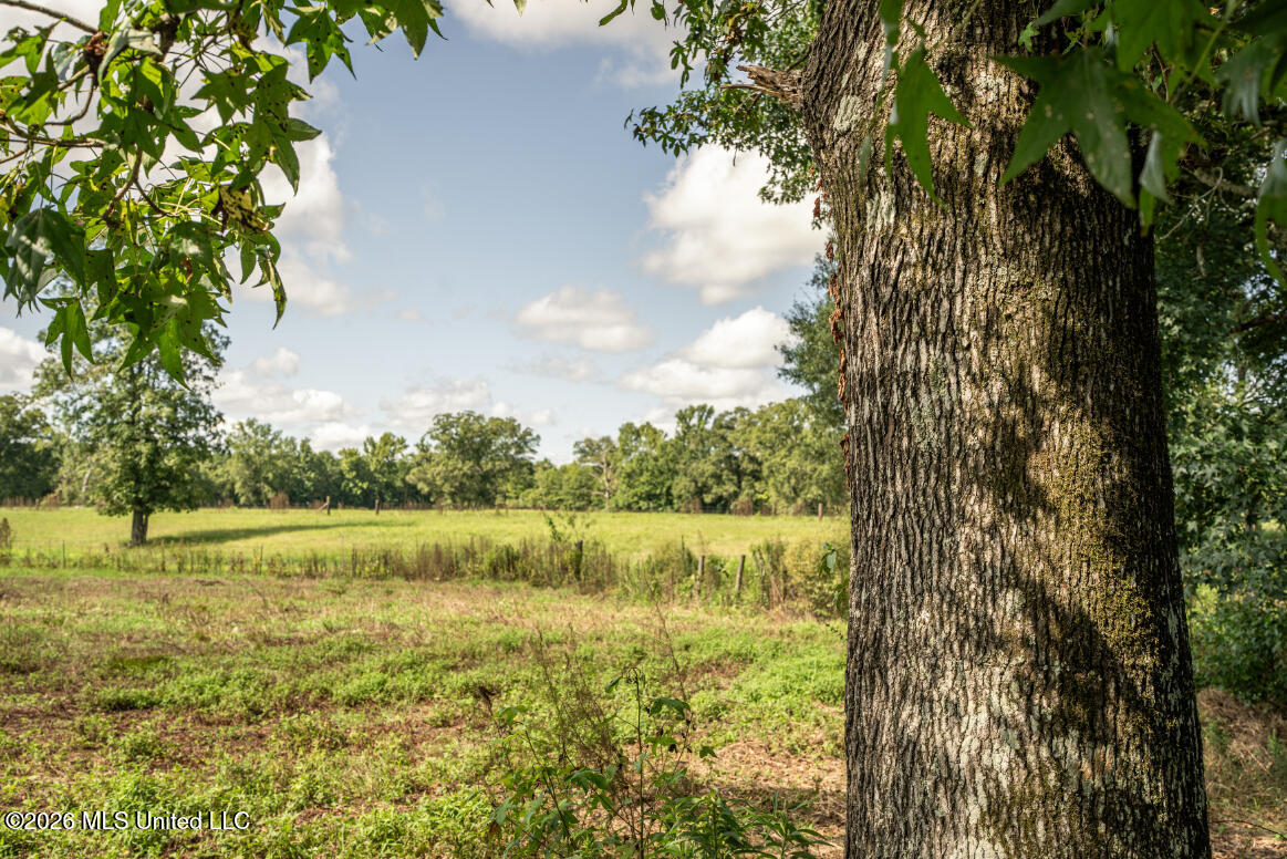 2498 Hilton Lane Property Photo 32
