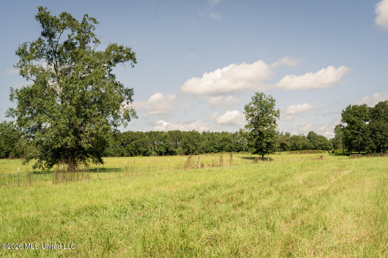 2498 Hilton Lane Property Photo 33