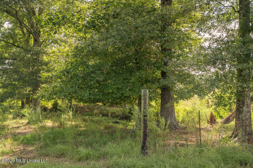 2498 Hilton Lane Property Photo 34