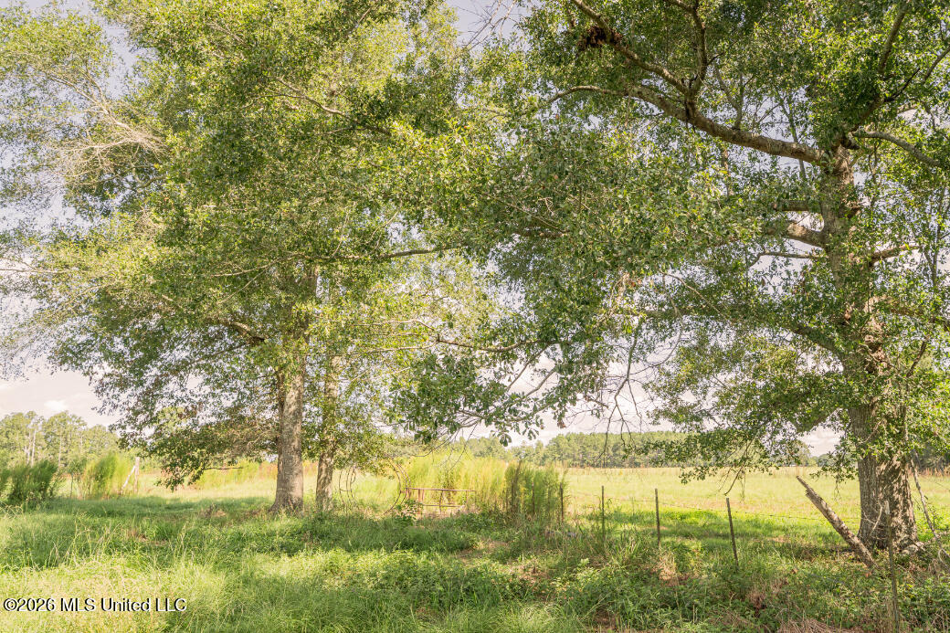 2498 Hilton Lane Property Photo 38