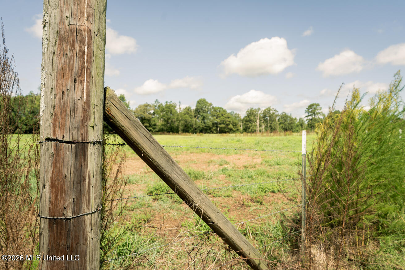 2498 Hilton Lane Property Photo 39