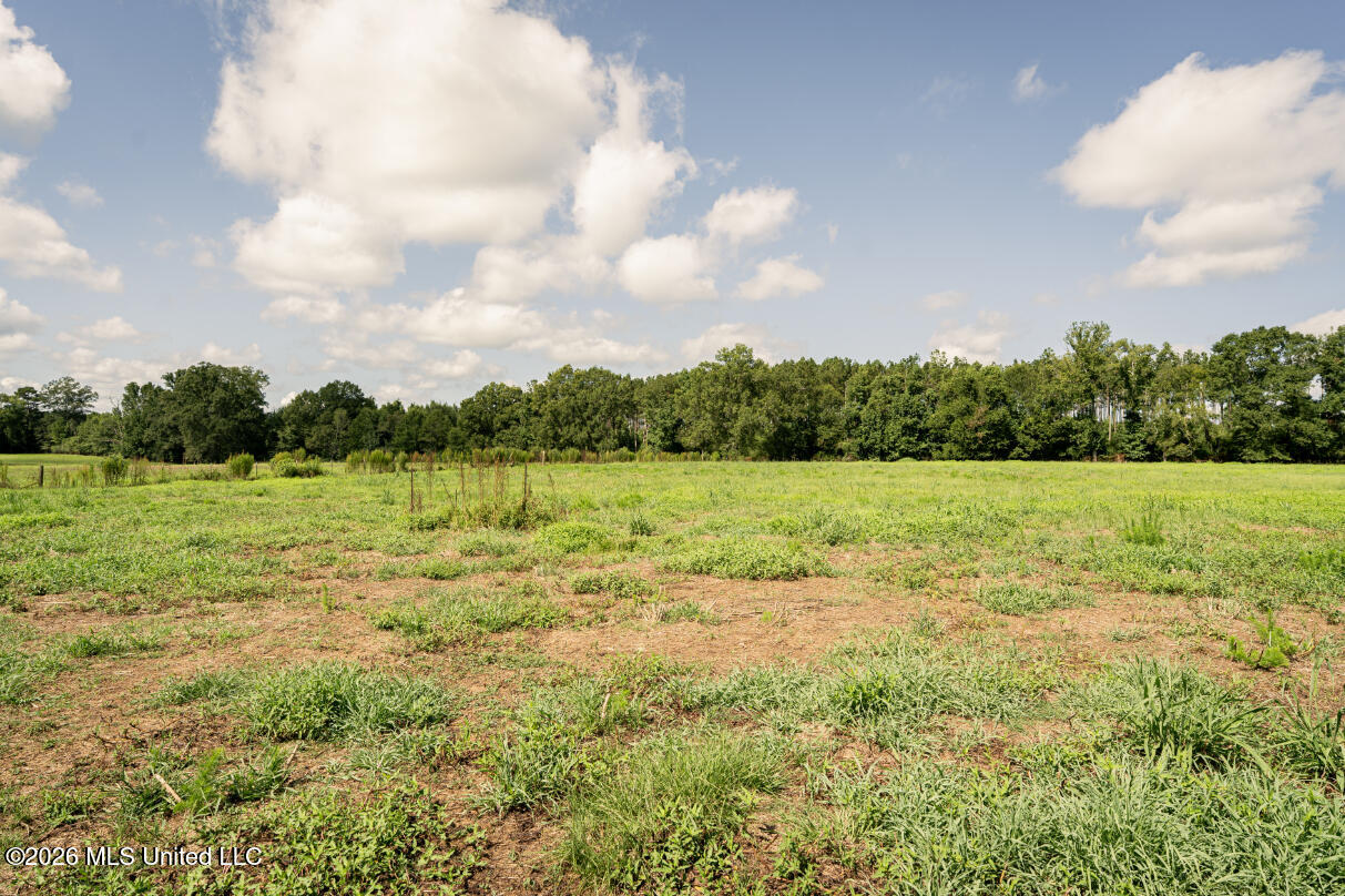 2498 Hilton Lane Property Photo 40