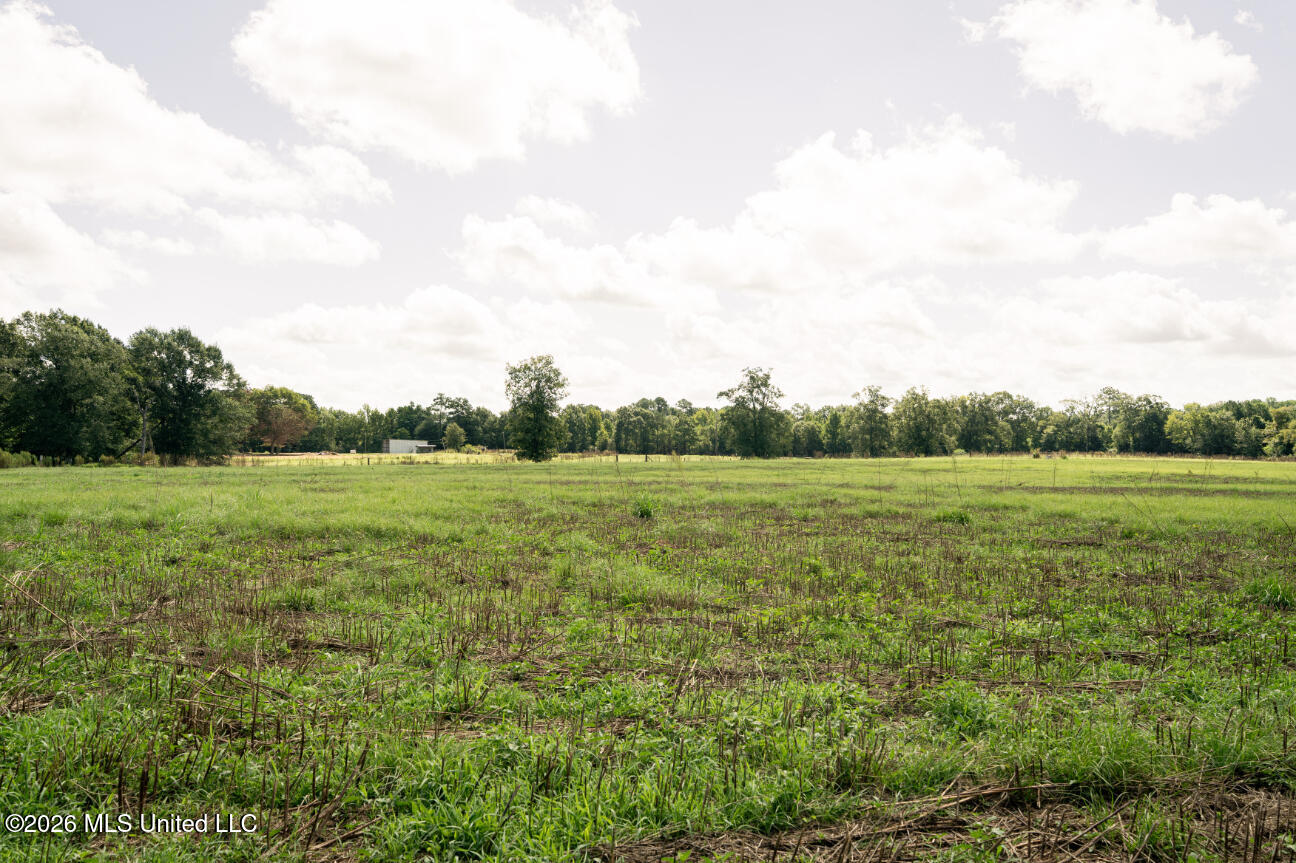 2498 Hilton Lane Property Photo 41