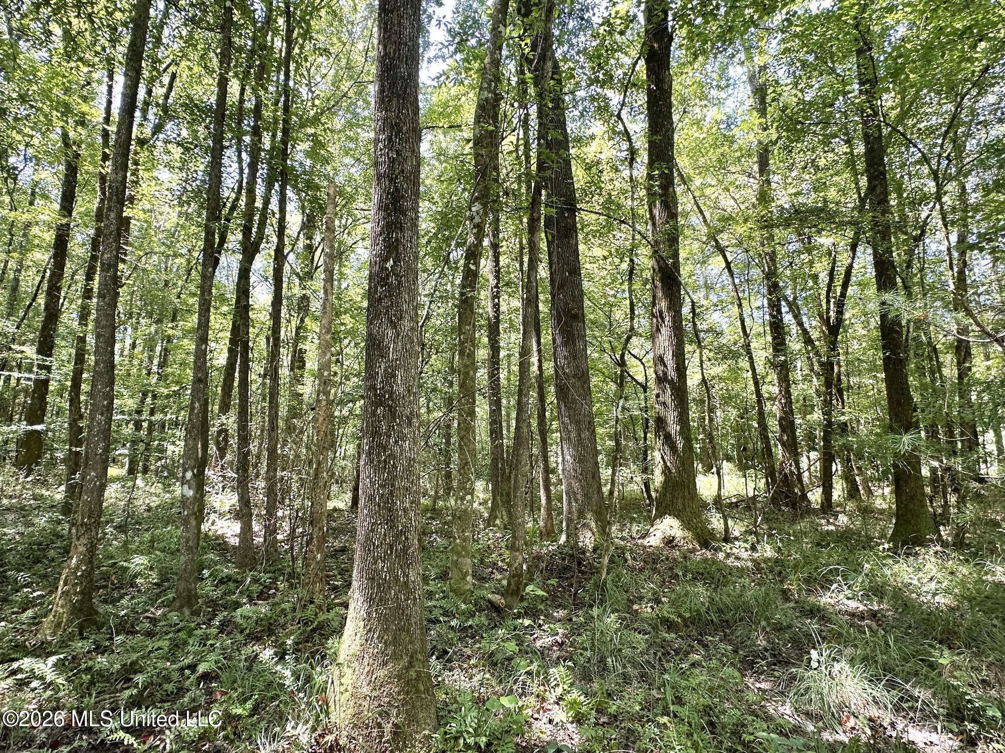 1 County Road 24 Property Photo 1