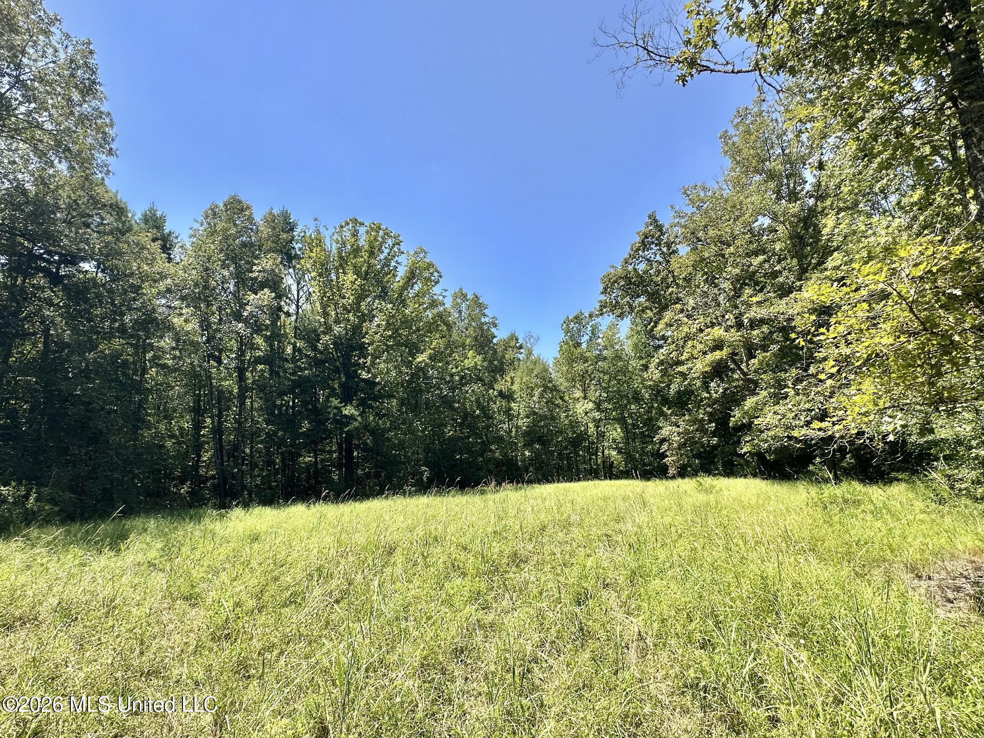 1 County Road 24 Property Photo 2