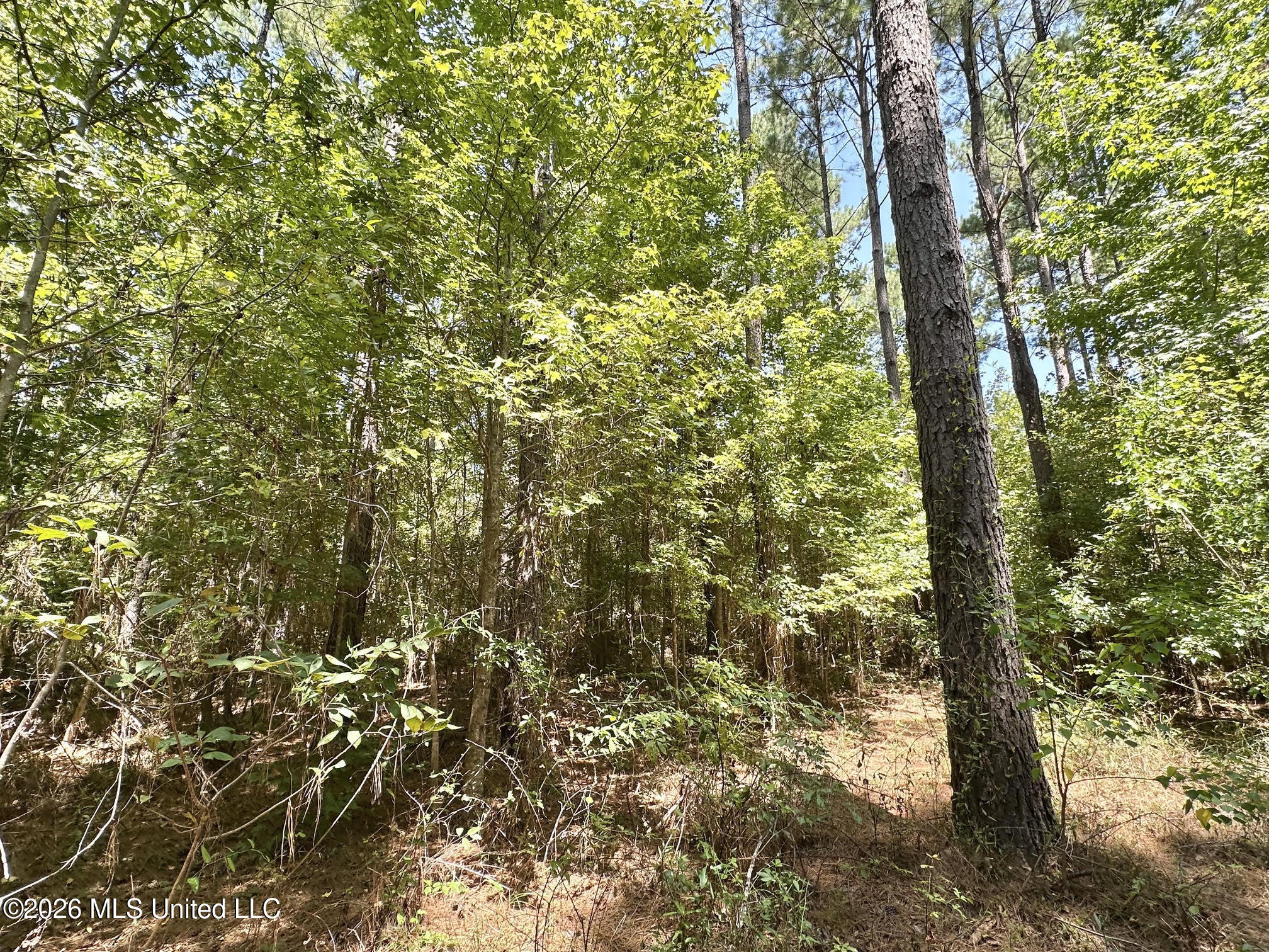 2 County Road 24 Property Photo 2