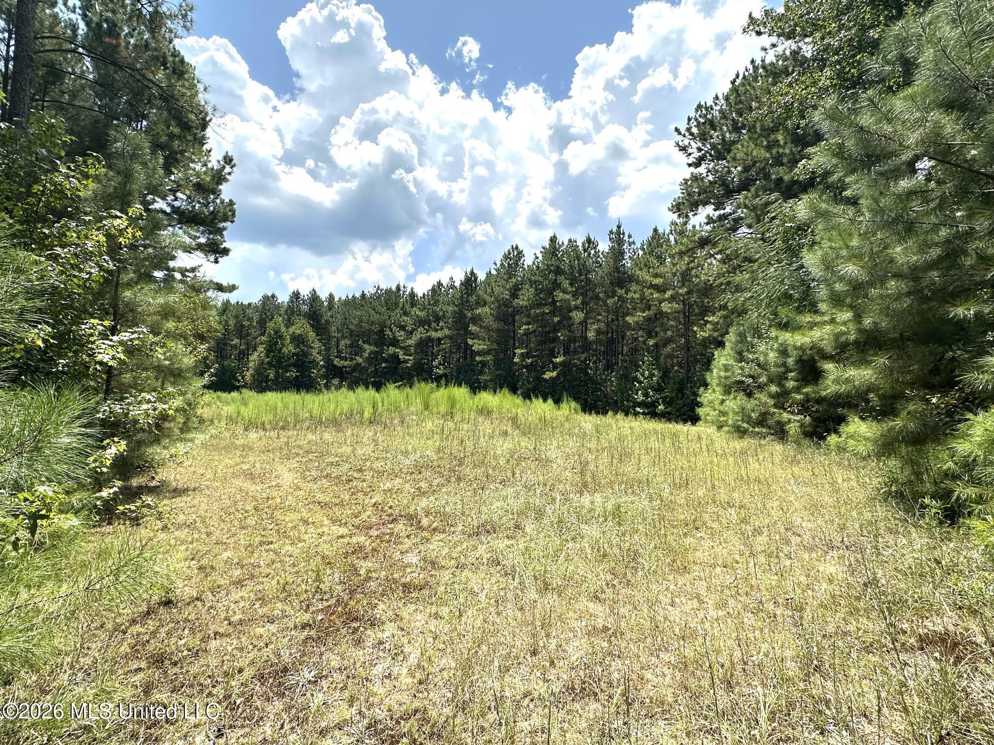 2 County Road 24 Property Photo 11