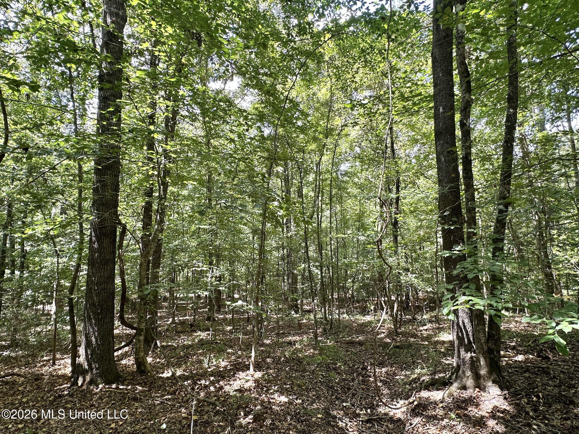 2 County Road 24 Property Photo 13