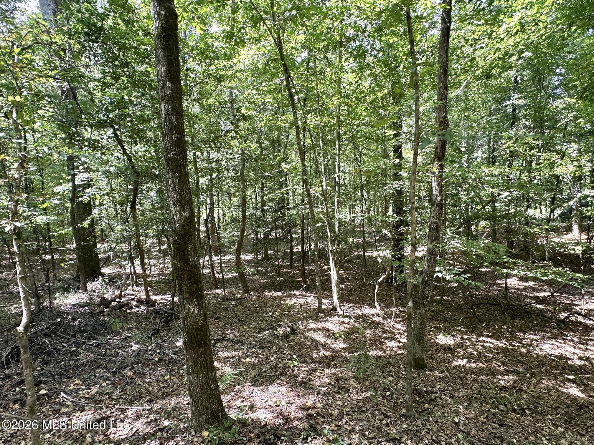 2 County Road 24 Property Photo 15