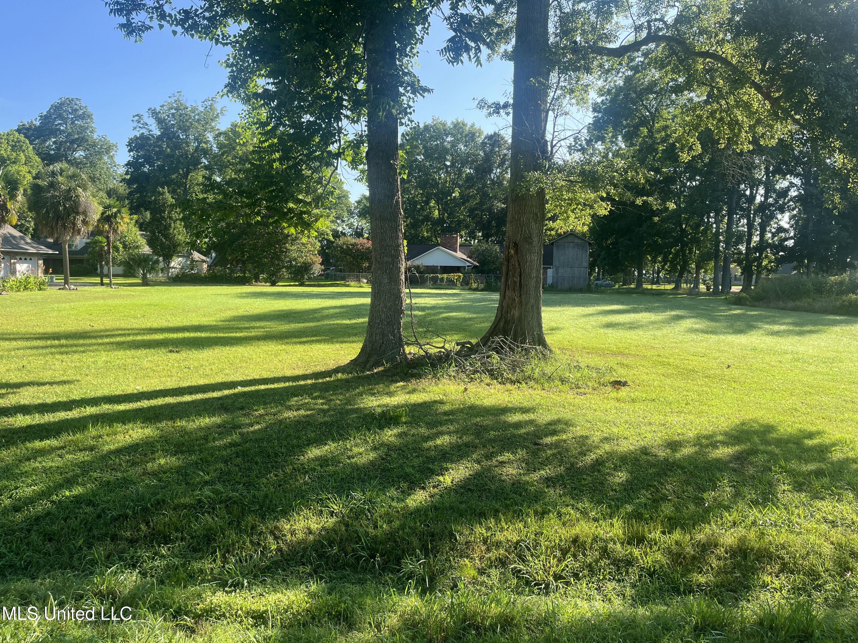 Panola Drive Property Photo 2