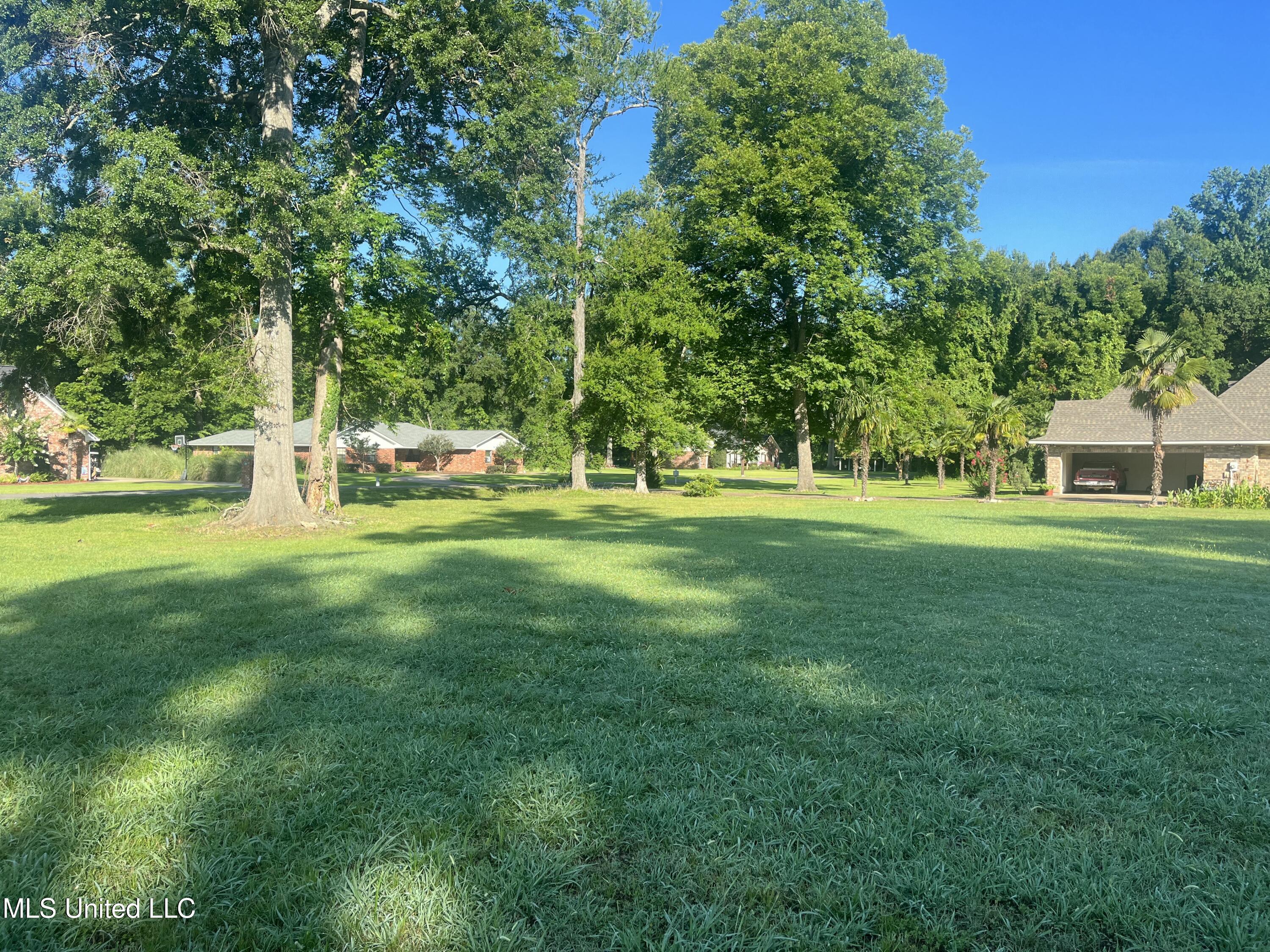 Panola Drive Property Photo 3