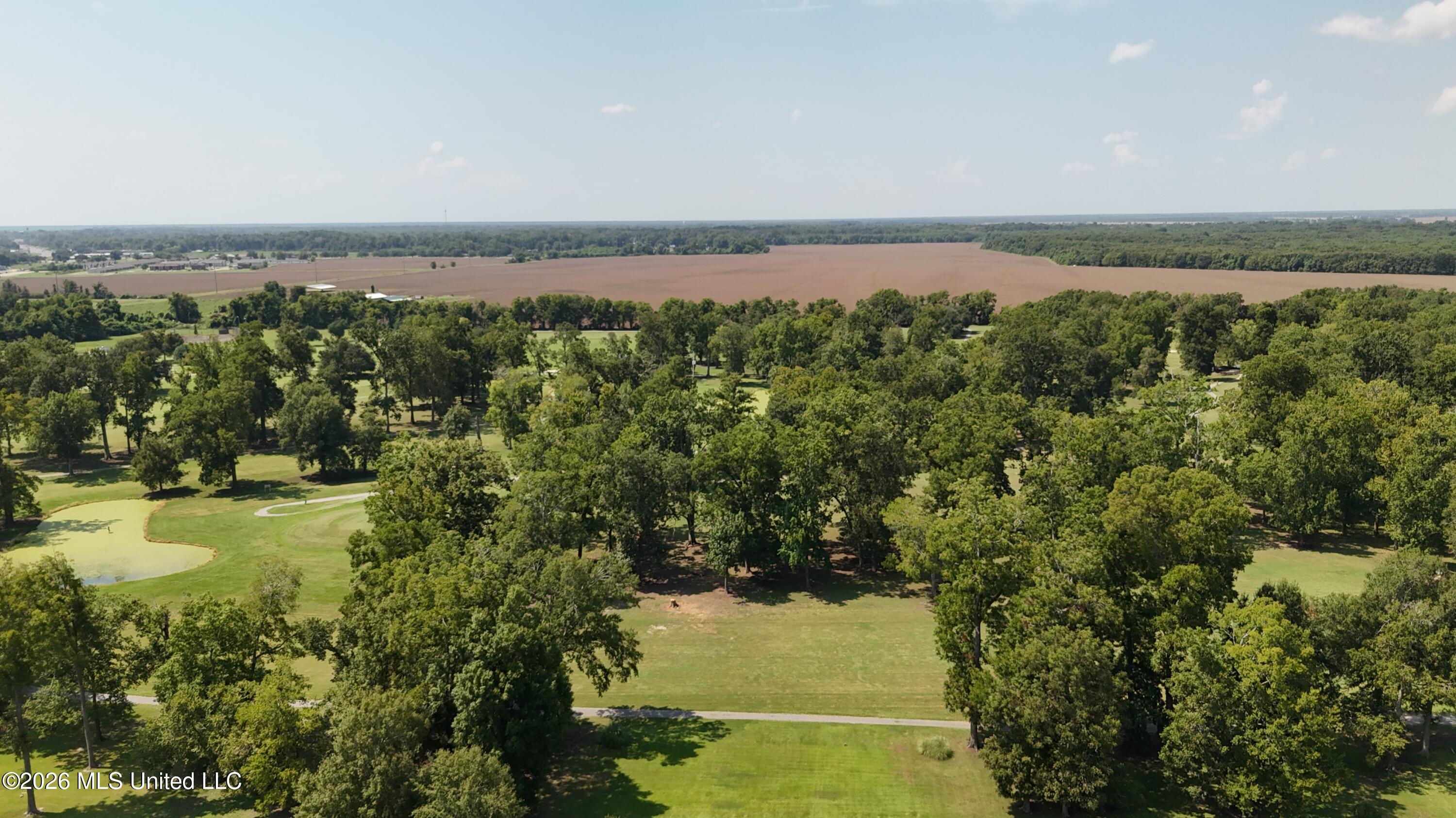 Panola Drive Property Photo 9
