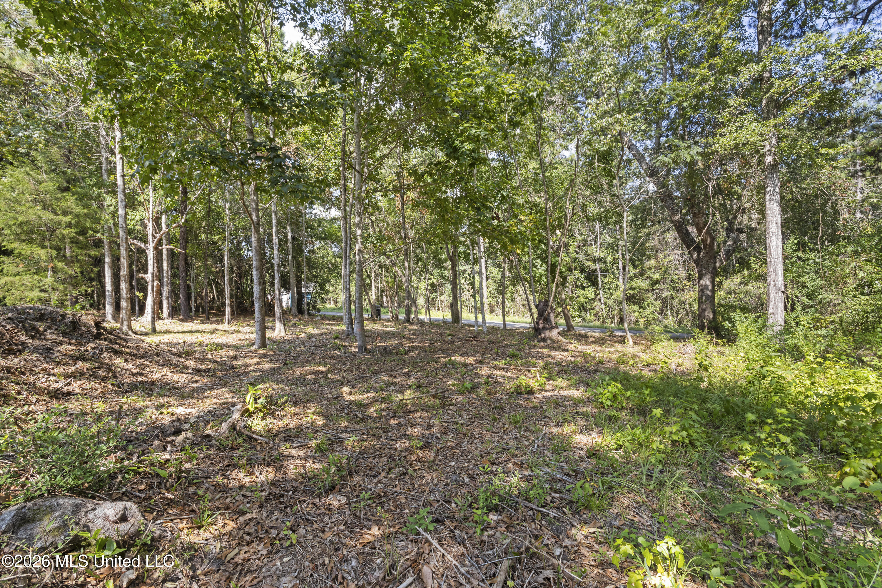 13440 Gorman Street Property Photo 43