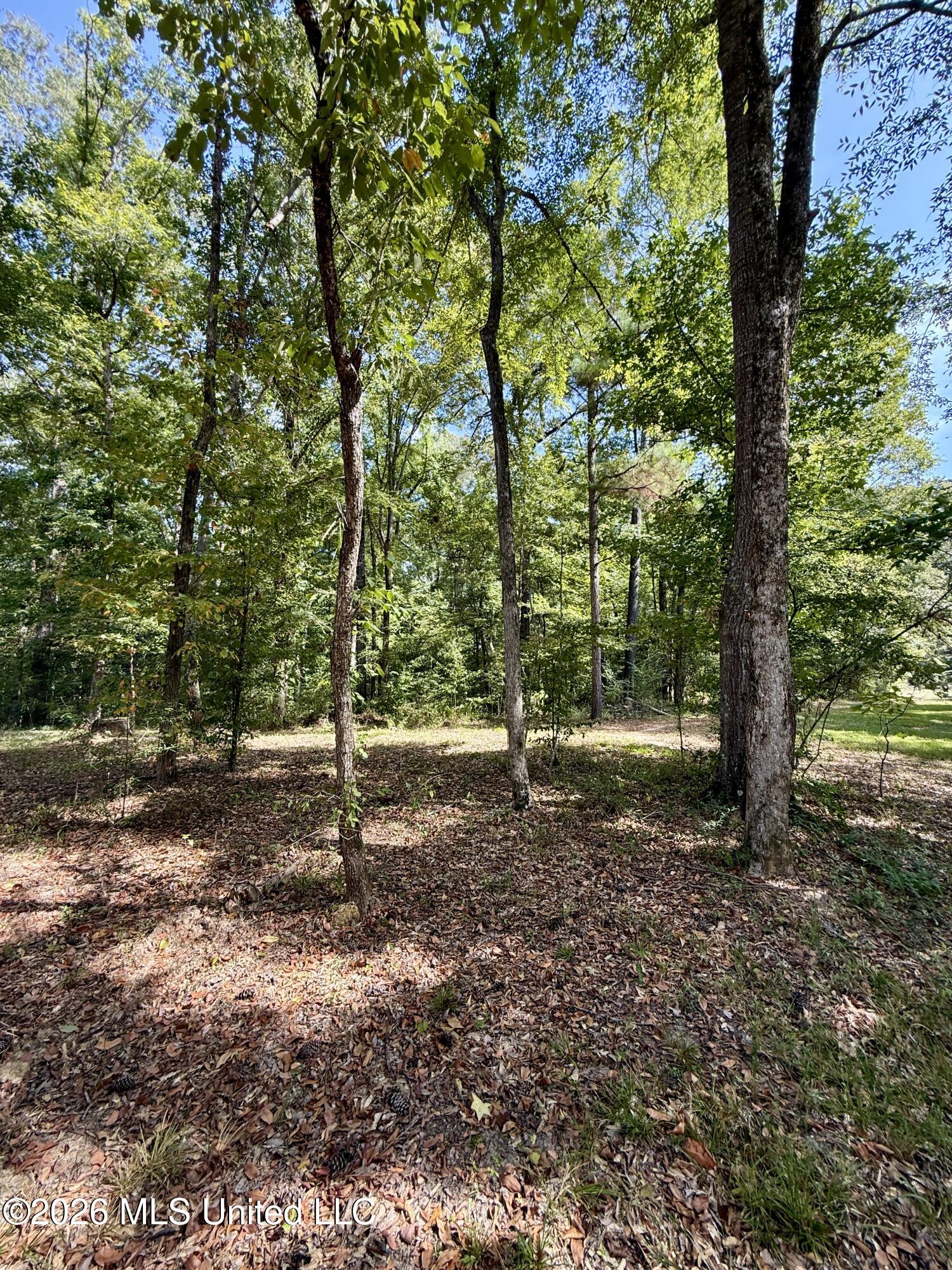 1840 White Apple Road Property Photo 23