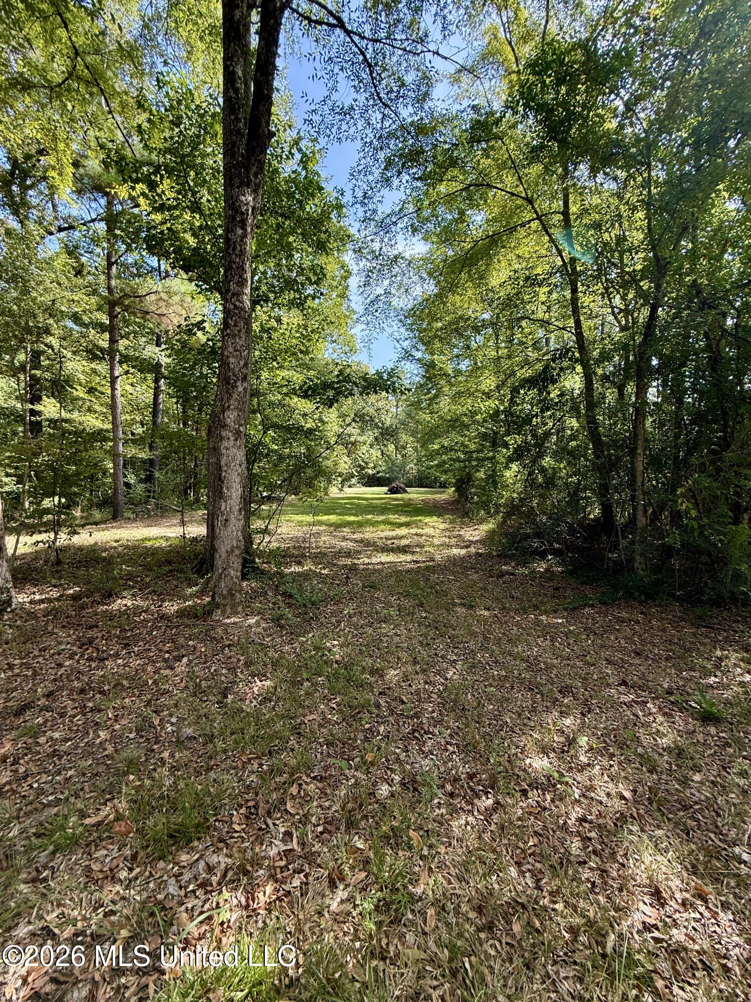 1840 White Apple Road Property Photo 24