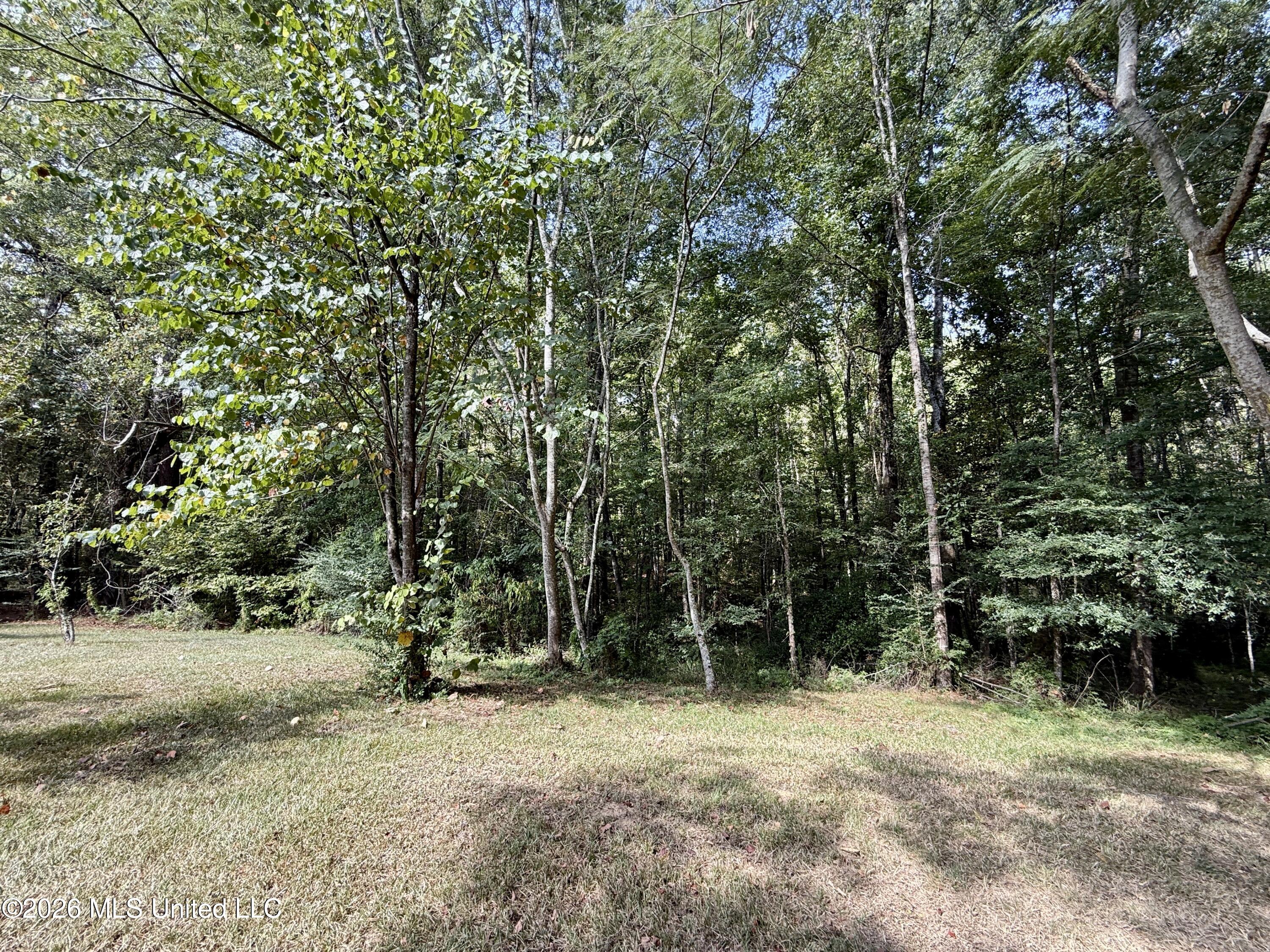 1840 White Apple Road Property Photo 33