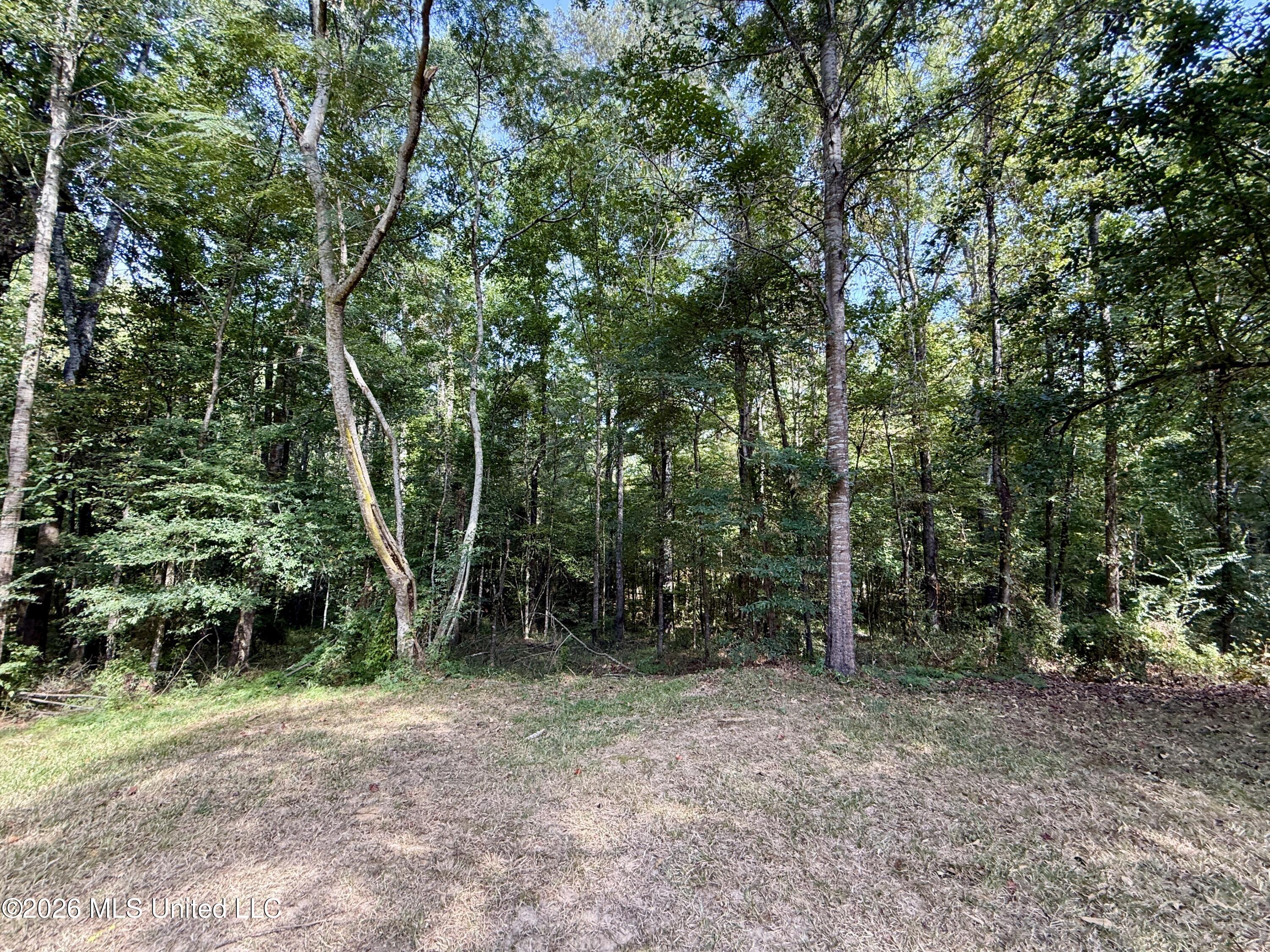 1840 White Apple Road Property Photo 34