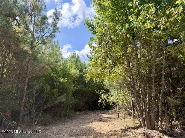 Robert Bateman Road Property Photo 4