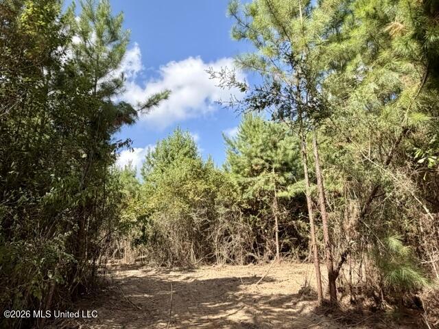 Robert Bateman Road Property Photo 5