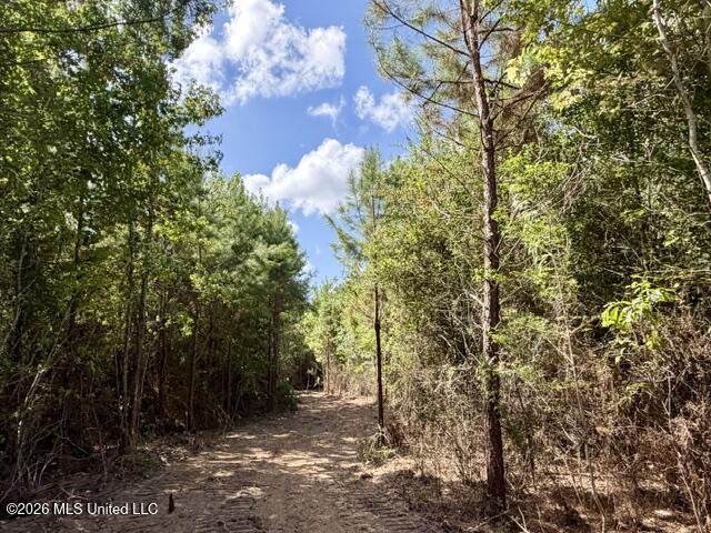 Robert Bateman Road Property Photo 6