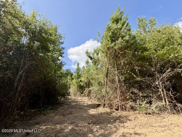 Robert Bateman Road Property Photo 7