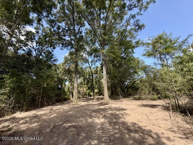 Robert Bateman Road Property Photo 8