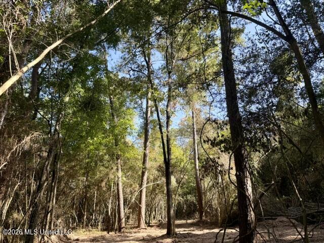 Robert Bateman Road Property Photo 3