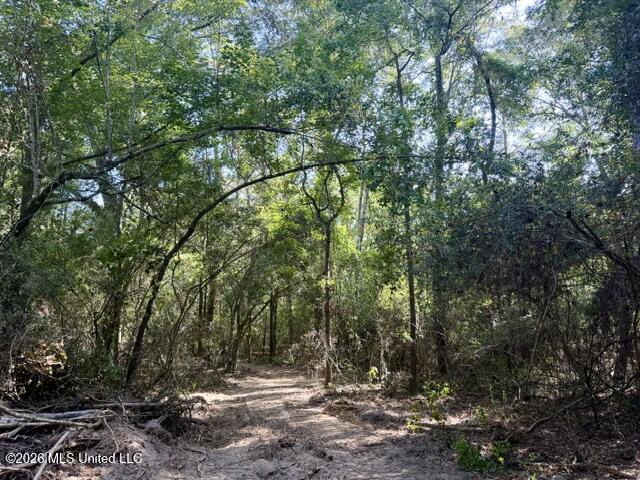 Robert Bateman Road Property Photo 4