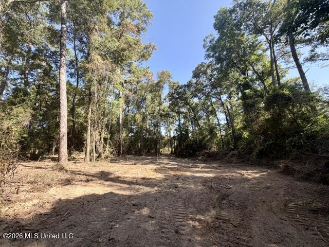 Robert Bateman Road Property Photo 5