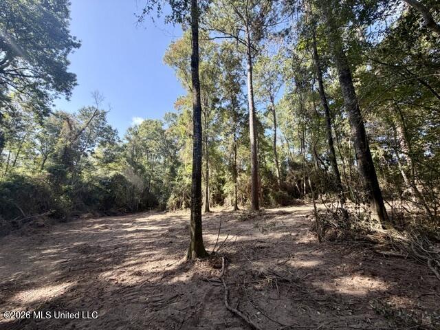 Robert Bateman Road Property Photo 6