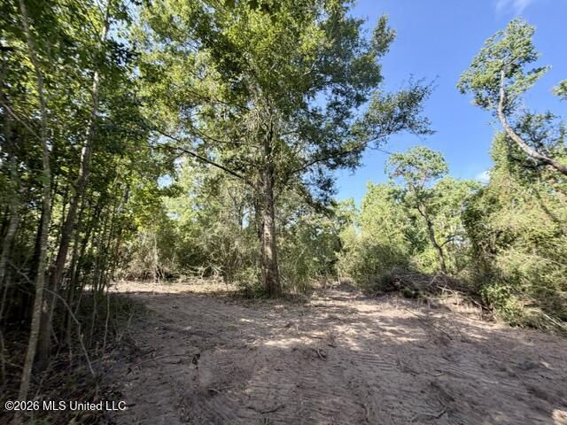 Robert Bateman Road Property Photo 4