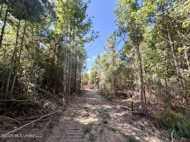 Robert Bateman Road Property Photo 5