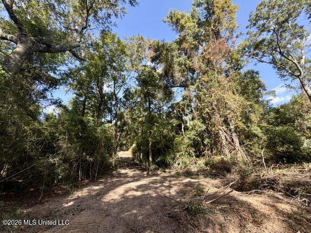 Robert Bateman Road Property Photo 6