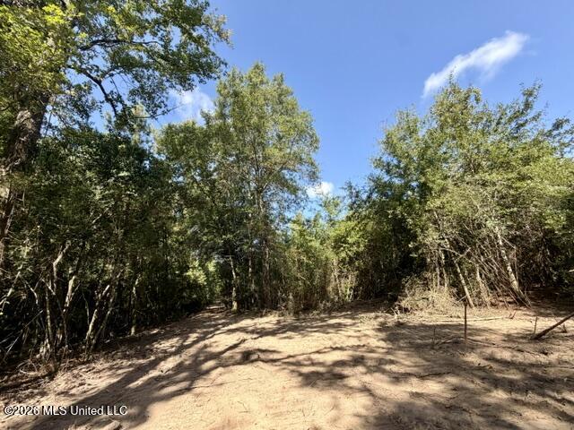 Robert Bateman Road Property Photo 7