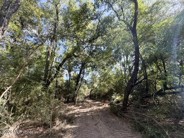 Robert Bateman Road Property Photo 8