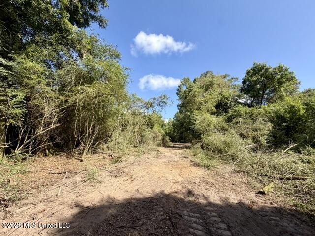 Robert Bateman Road Property Photo 9