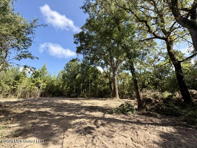 Robert Bateman Road Property Photo 10