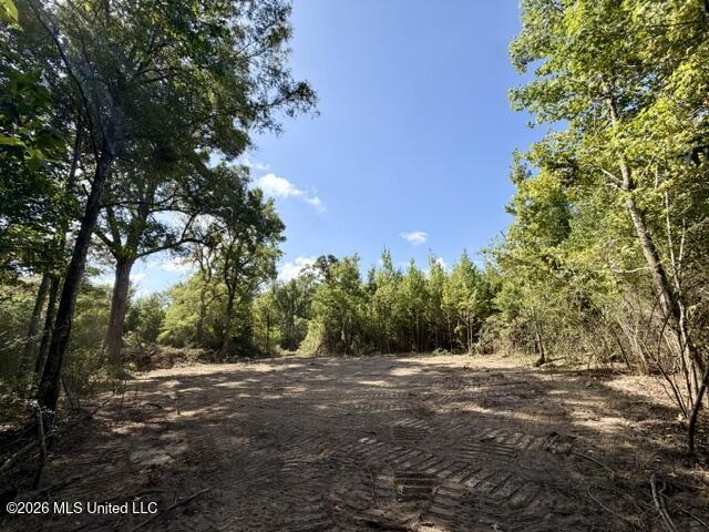 Robert Bateman Road Property Photo 11