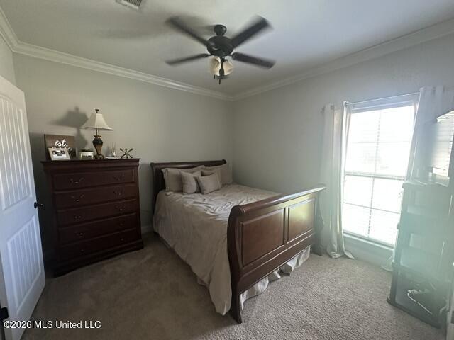 151 Buckhead Drive Property Photo 20