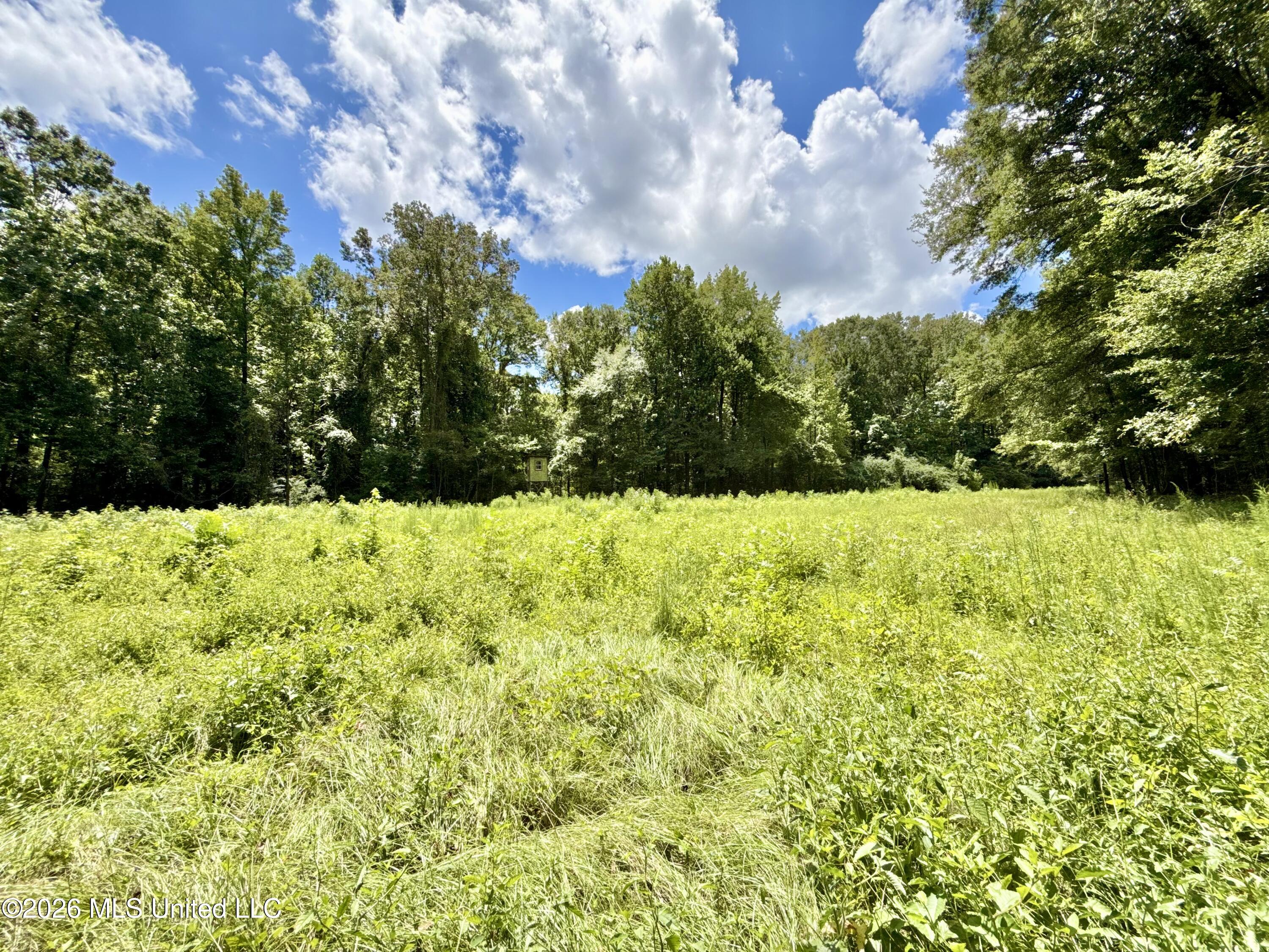 2078 Upton Road Property Photo 53