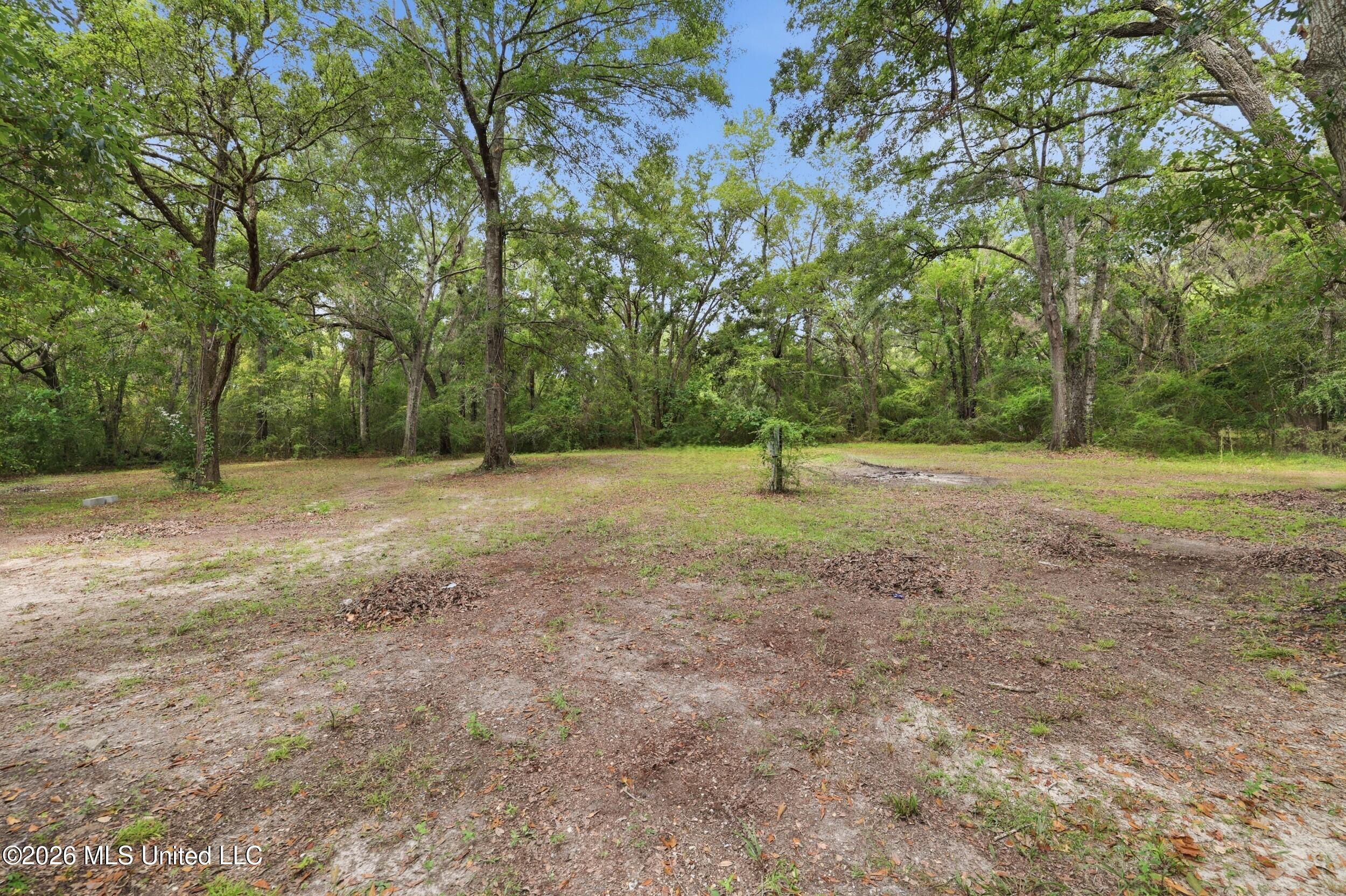 12111 Vidalia Road Property Photo 33