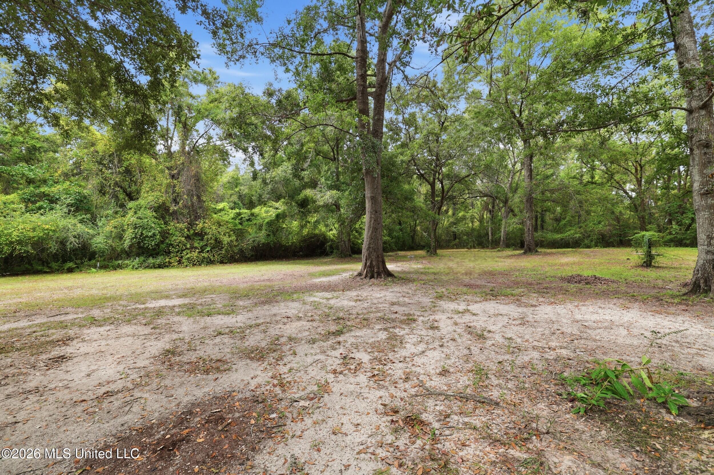 12111 Vidalia Road Property Photo 34