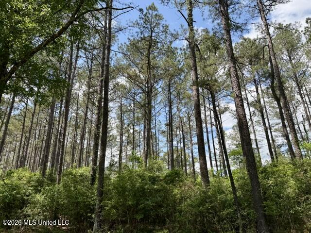 000 Old State Line Road Property Photo 3
