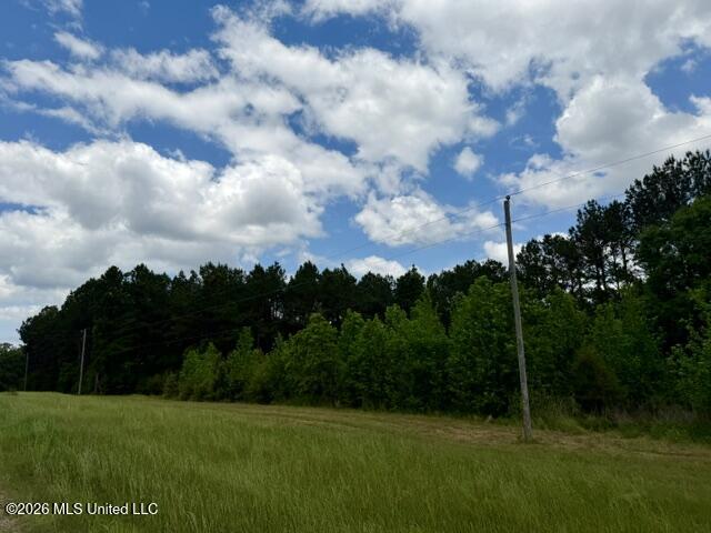 000 Old State Line Road Property Photo 4